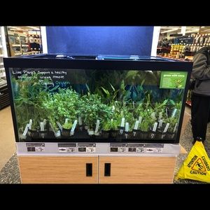 Meet your Posher, Kirsten